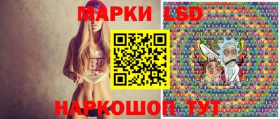 спайс Тара