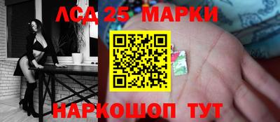 спайс Тара