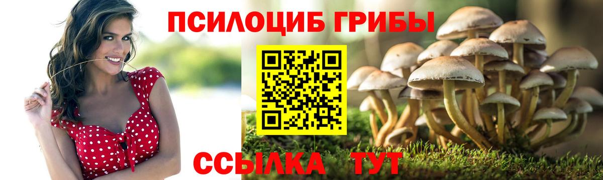 Псилоцибиновые грибы ЛСД Павловский Посад